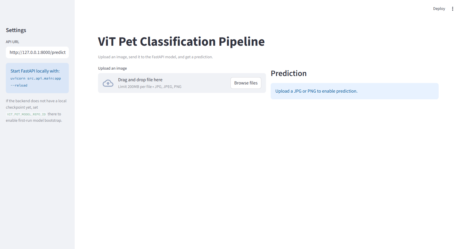 ViT Pet Classification Pipeline Streamlit UI without third-party branding